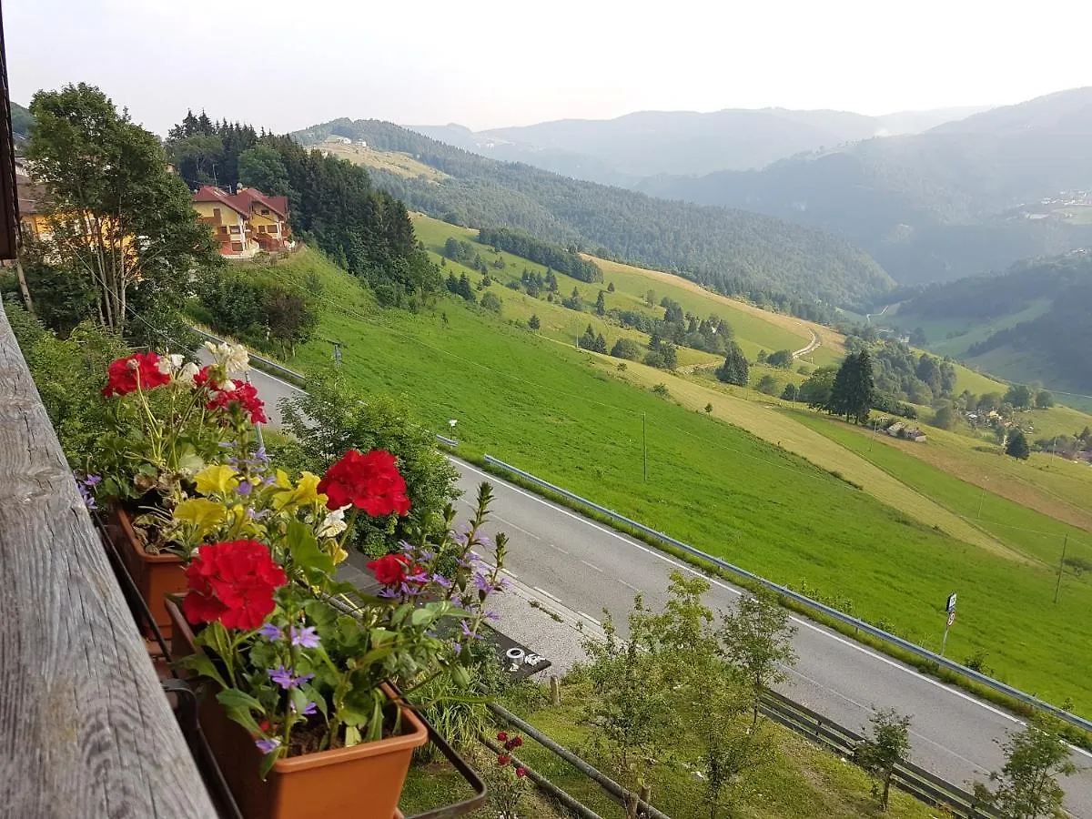 Hotel Alpi - Foza 2*,