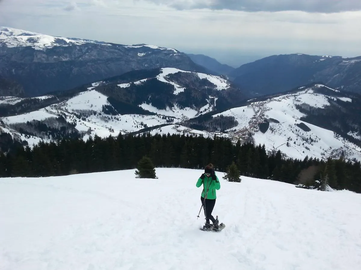 **  Hotel Alpi - Foza Italia