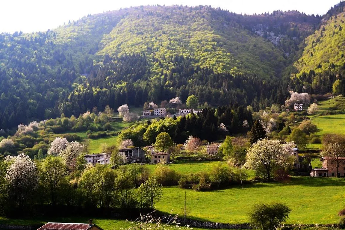 Hotel Alpi - Foza