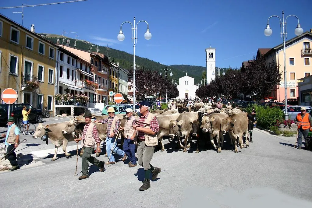**  Hotel Alpi - Foza Italia