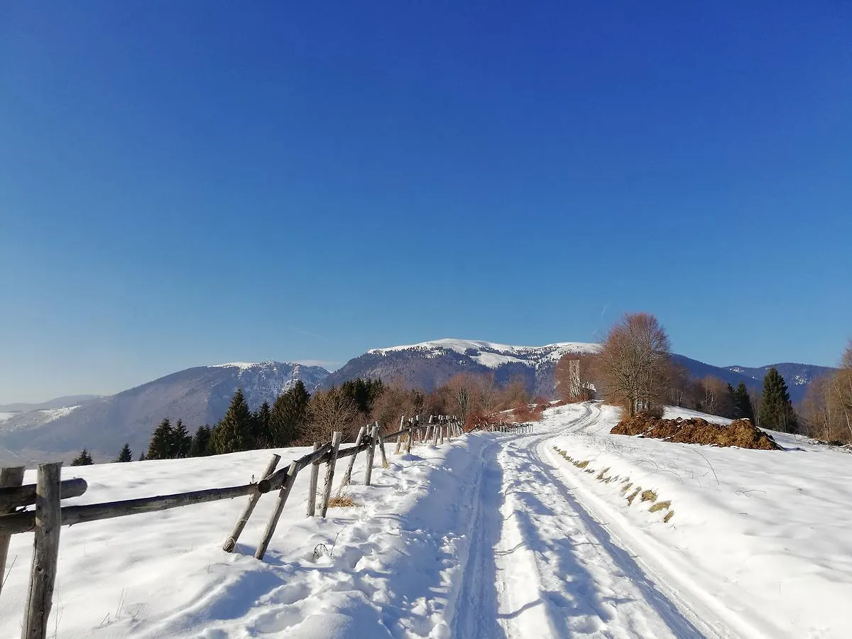 Hotel Alpi - Foza 2*,